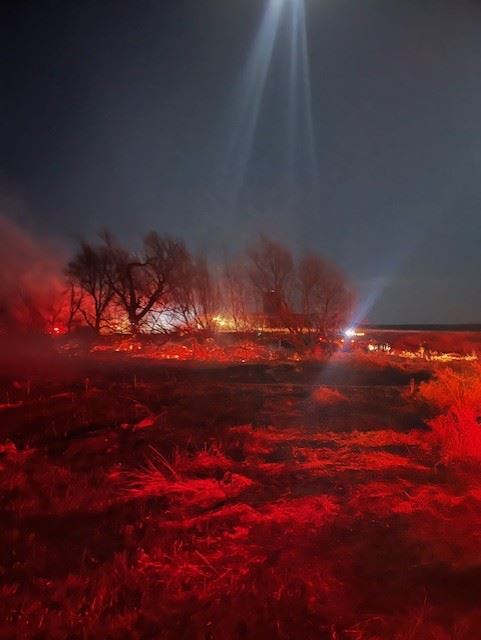 Goodwin Grass Fire